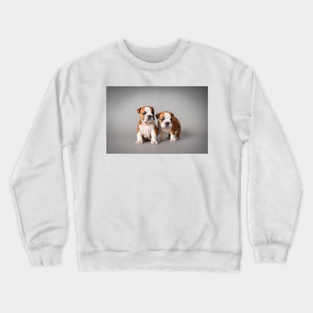 Bulldog puppies Crewneck Sweatshirt by PetsArt